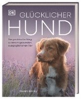 Glücklicher Hund 1