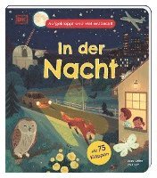 bokomslag Aufgeklappt und viel entdeckt! In der Nacht