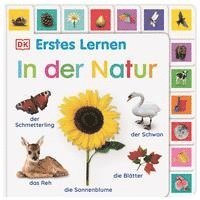 bokomslag Erstes Lernen. In der Natur