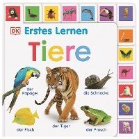 bokomslag Erstes Lernen. Tiere