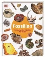 bokomslag Fossilien