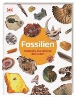 bokomslag Fossilien