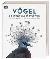 bokomslag Vögel