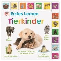 bokomslag Erstes Lernen. Tierkinder