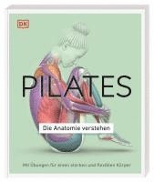 bokomslag Pilates - Die Anatomie verstehen