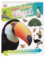 bokomslag Superchecker! Vögel