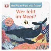 bokomslag Mein Pop-up-Buch zum Staunen. Wer lebt im  Meer?