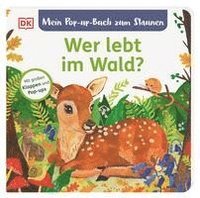 bokomslag Mein Pop-up-Buch zum Staunen. Wer lebt im Wald?