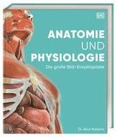 DK Verlag, Alice Roberts - Anatomie und Physiologie, Inbunden