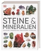 bokomslag Steine & Mineralien