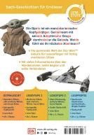 bokomslag SUPERLESER! Star Wars The Mandalorian Die Abenteuer von Din Djarin