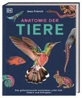 Anatomie der Tiere 1