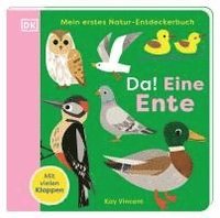 bokomslag Mein erstes Natur-Entdeckerbuch. Da! Eine Ente