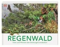 bokomslag Regenwald