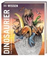 John Woodward, DK Verlag - Kids - DK Wissen. Dinosaurier, Inbunden