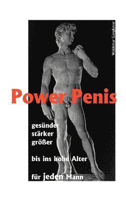 bokomslag Power Penis