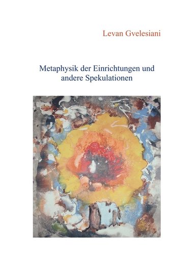 bokomslag Metaphysik der Einrichtungen und andere Spekulationen