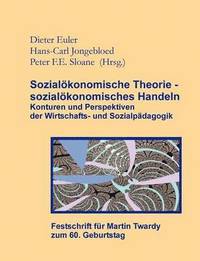 bokomslag Sozialoekonomische Theorie - sozialoekonomisches Handeln (Festschrift fur Martin Twardy)