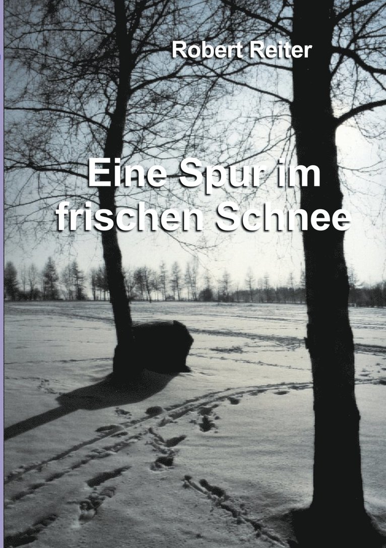 Eine Spur im frischen Schnee 1