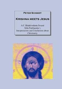 bokomslag Krishna meets Jesus