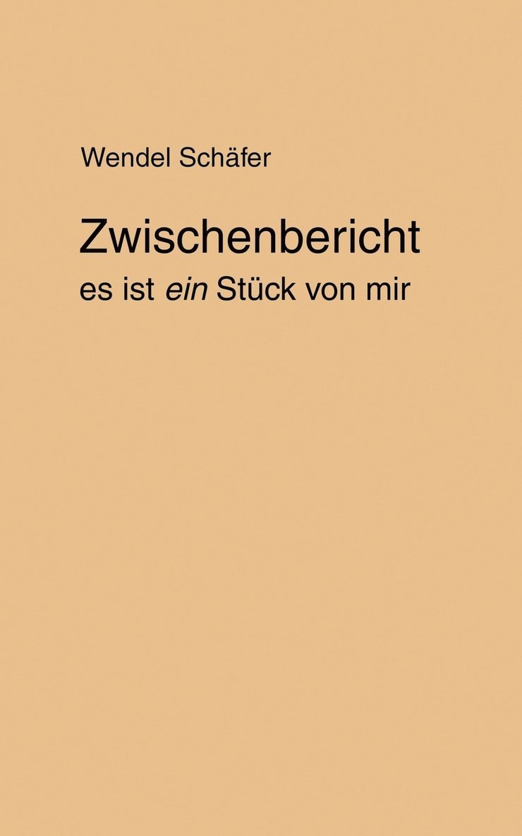Wendel Schäfer - Zwischenbericht, Häftad