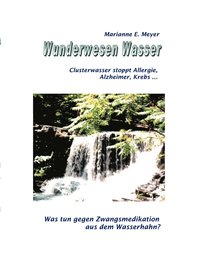 bokomslag Wunderwesen Wasser