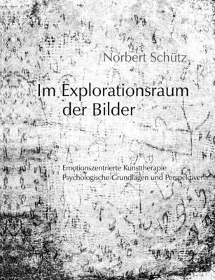 bokomslag Im Explorationsraum der Bilder