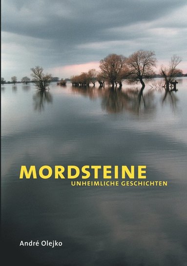 bokomslag Mordsteine