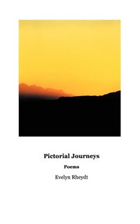 bokomslag Pictorial Journeys