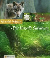 bokomslag Der Urwald Sababurg