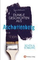 bokomslag SCHÖN & SCHAURIG - Dunkle Geschichten aus Aschaffenburg