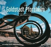 bokomslag Goldstadt Pforzheim