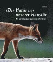 Nordhessen - Die Natur vor unserer Haustür 1