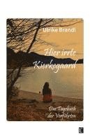 bokomslag Hier irrte Kierkegaard