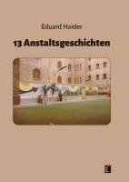 bokomslag 13 Anstaltsgeschichten