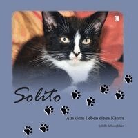 Sybille Schoenfelder - Solito, Inbunden