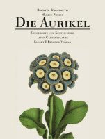 Die Aurikel 1