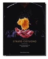 bokomslag Meine Leidenschaft für die italienische Küche