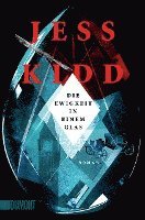 Jess Kidd - Die Ewigkeit in einem Glas, Häftad. Tillgänglighet: Lägg i varukorg