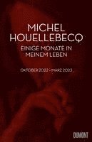bokomslag Einige Monate in meinem Leben