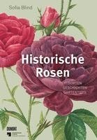 Historische Rosen 1