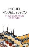 bokomslag In Schopenhauers Gegenwart