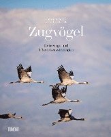 bokomslag Zugvögel