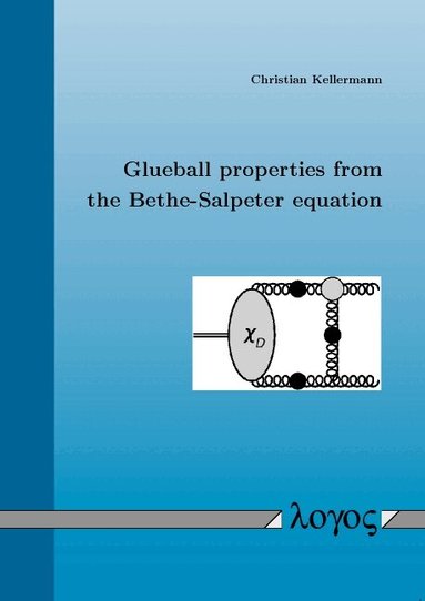 Christian Kellermann - Glueball Properties from the Bethe-Salpeter Equation, Häftad