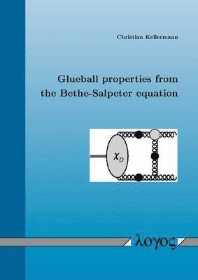 Christian Kellermann - Glueball Properties from the Bethe-Salpeter Equation, Häftad