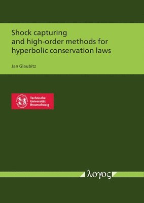 Jan Glaubitz - Shock Capturing and High-Order Methods for Hyperbolic Conservation Laws, Häftad