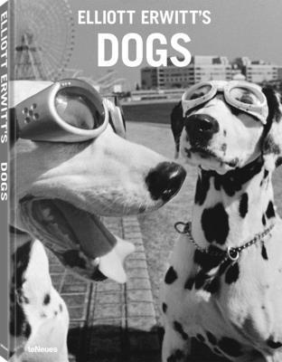 Elliott Erwitt's Dogs 1