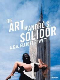 bokomslag The Art of Andre S. Solidor