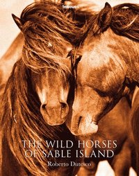 bokomslag The Wild Horses of Sable Island