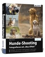 bokomslag Hunde-Shooting - Fotografieren mit 'Wau-Effekt'